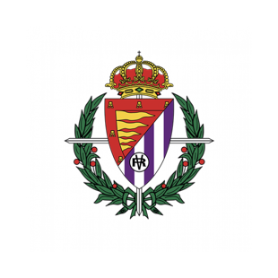Visitante